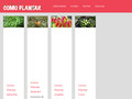 Pormenores : Como Plantar - Aprenda a plantar frutas, flores e vegetais!