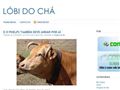 Pormenores : Lóbi do Chá