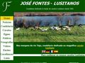Pormenores : Cavalos Lusitanos - Coudelaria Jose Fontes - Portugal