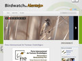 Pormenores : Birdwatch in Alentejo